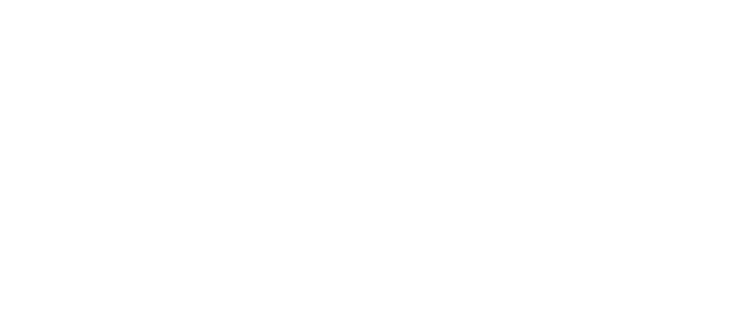 Joy Travel Services